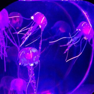 Neon Jellyfish Tank - Image 6