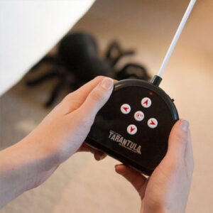 Remote Control Tarantula - Image 4
